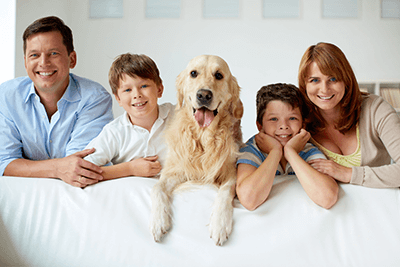 family-dog-living-room-indoors-24985341_xl.png